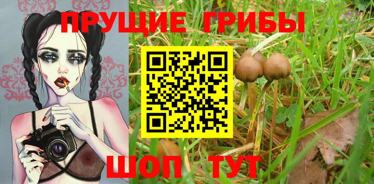 Псилоцибиновые грибы мицелий  купить закладку  Вход с VPN  Первоуральск  Галлюциногенные грибы GOLDEN TEACHER 