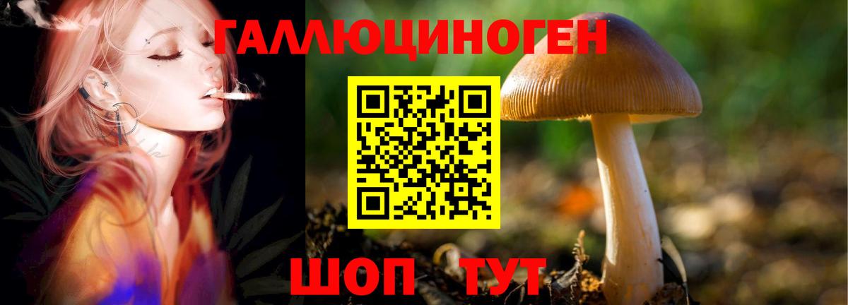 Псилоцибиновые грибы Psilocybe Первоуральск